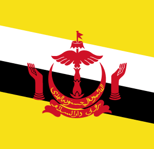 Internet Mobilny Brunei