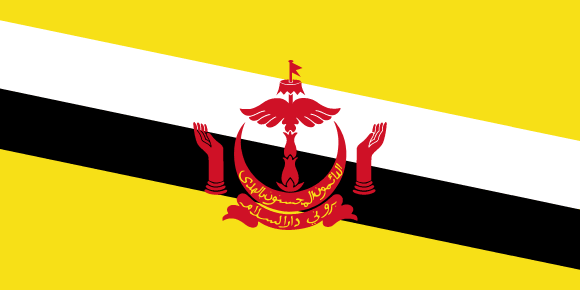 Internet Mobilny Brunei